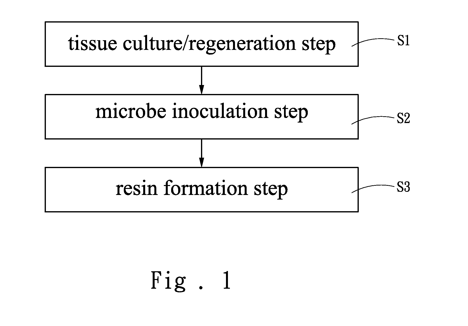 Tissue culture method for producing agarwood