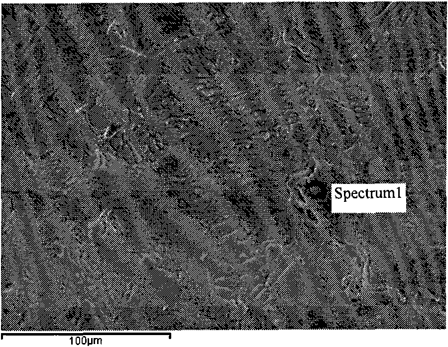 Method for removing scale on surface of titanium/titanium alloy strip