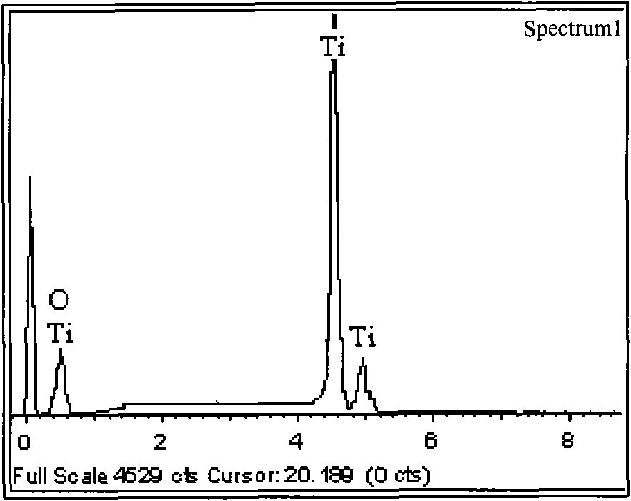 Method for removing scale on surface of titanium/titanium alloy strip