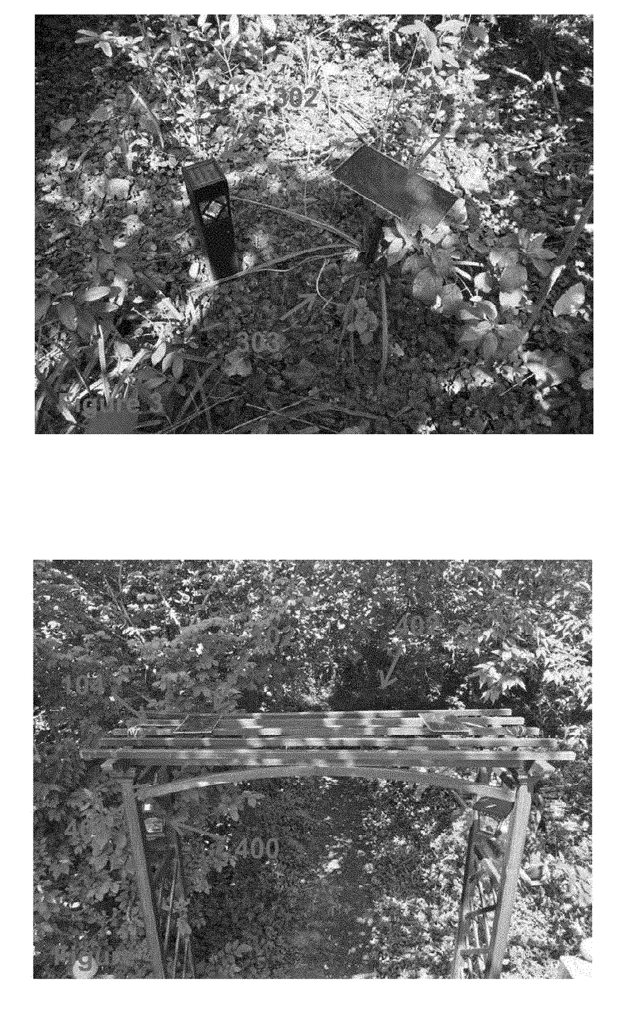 Apparatus for a solar pathway light