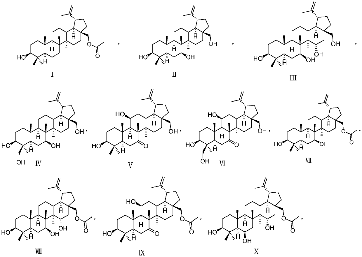 Novel application of betulin derivatives in preparation of drugs for repairing nerve injury
