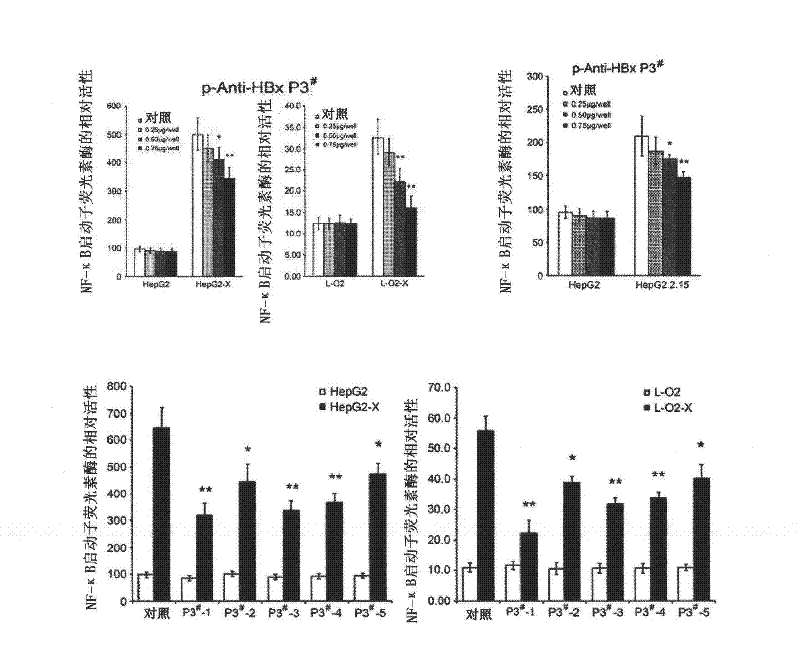 Polypeptide drug for resisting Hepatitis B virus X protein