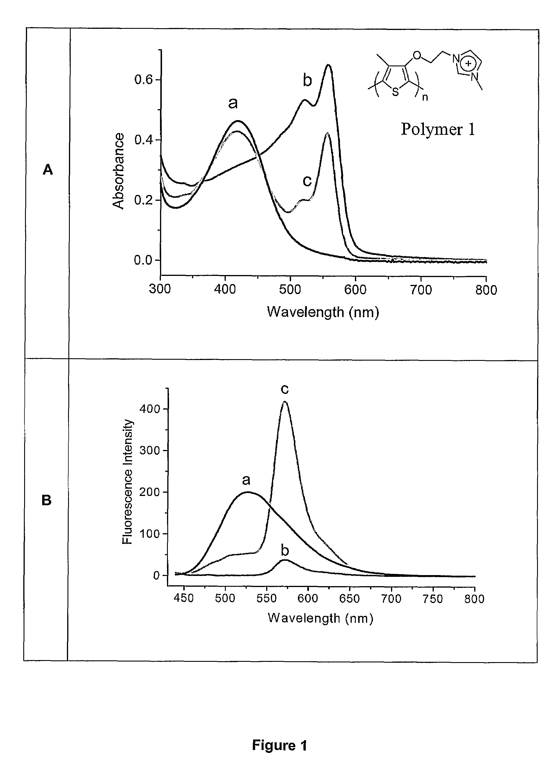 Methods and compositions for the detection and analysis of nucleic acids by signal amplification