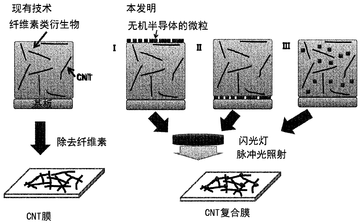 Carbon nanotube composite film and method for manufacturing same