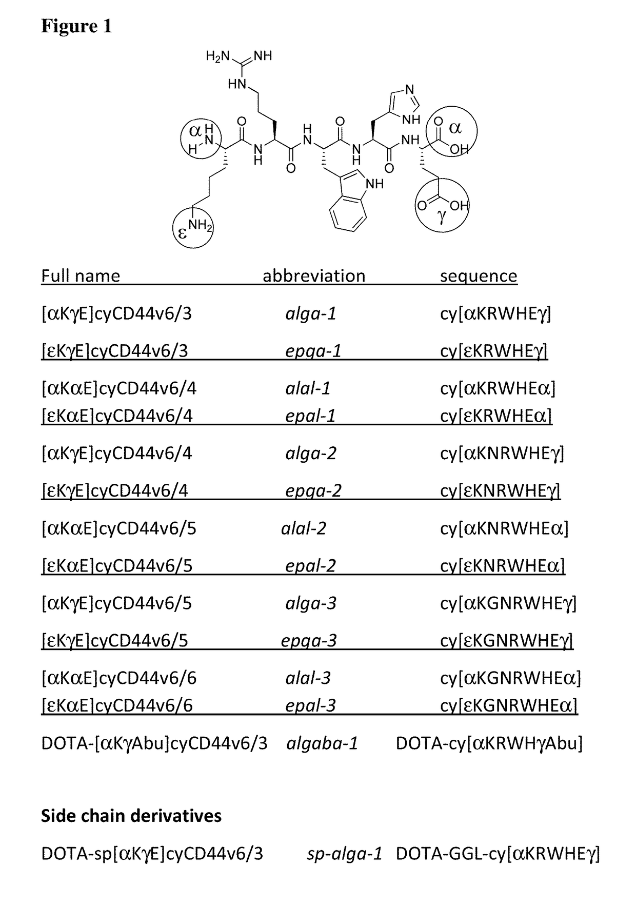 Cd44v6-derived cyclic peptides for treating cancers and angiogenesis related diseases