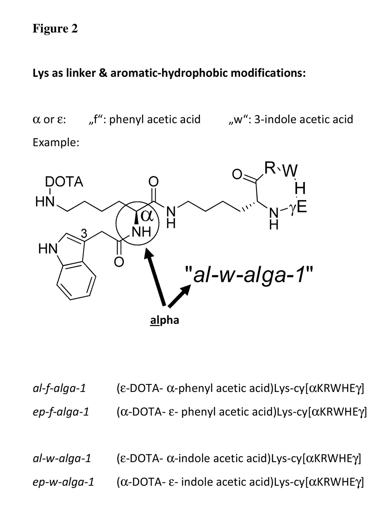 Cd44v6-derived cyclic peptides for treating cancers and angiogenesis related diseases