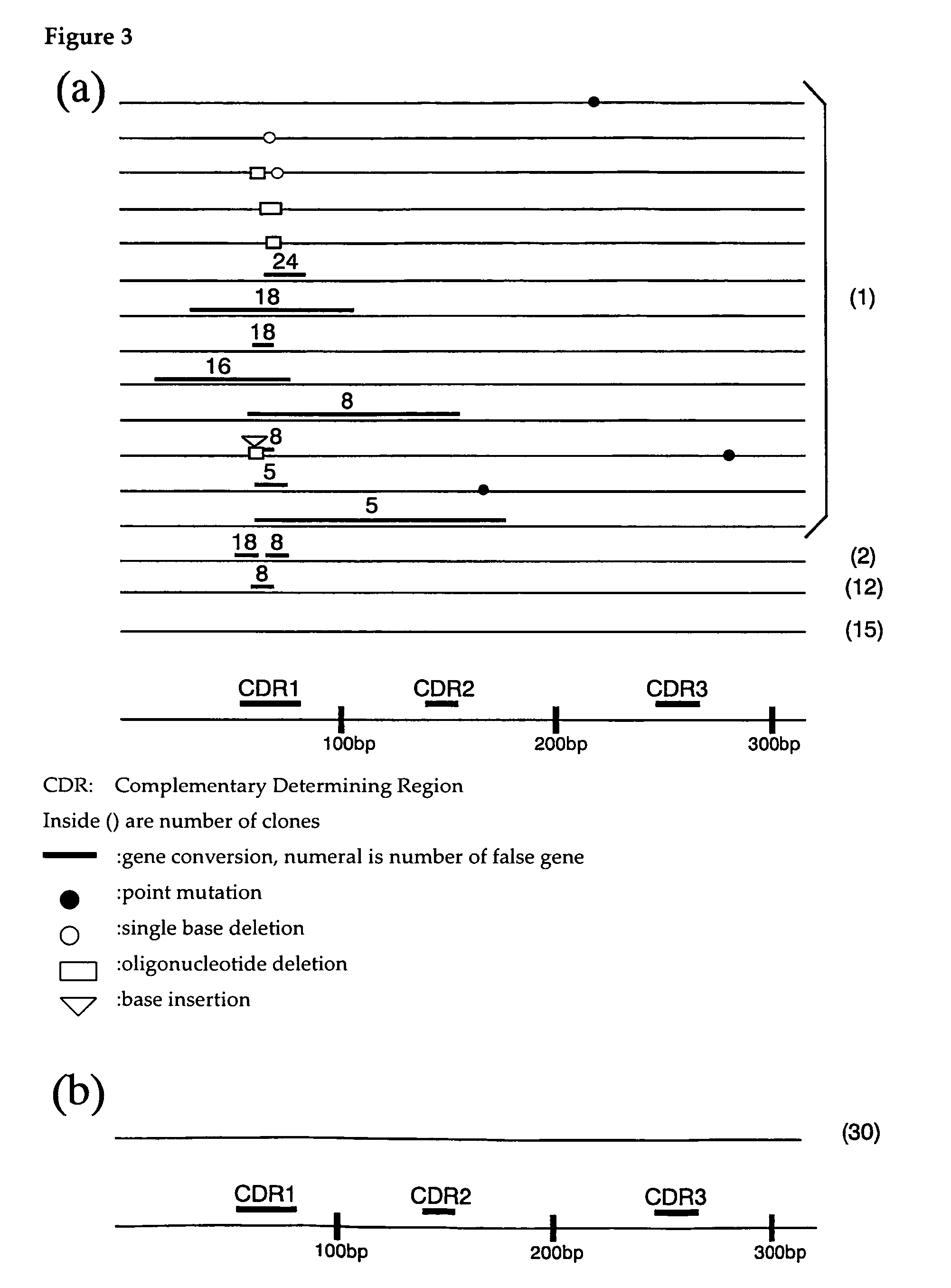 Method of enhancing homologous recombination of somatic cells and method of constructing specific antibody