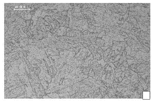 Superlarge thickness hydrogen chromium molybdenum steel plate for hydrogenation equipment and manufacture method thereof