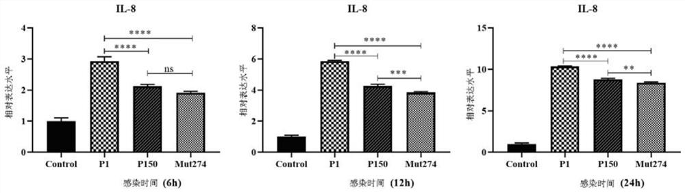 Mycoplasma bovis Mbov_0274 gene mutant and application thereof