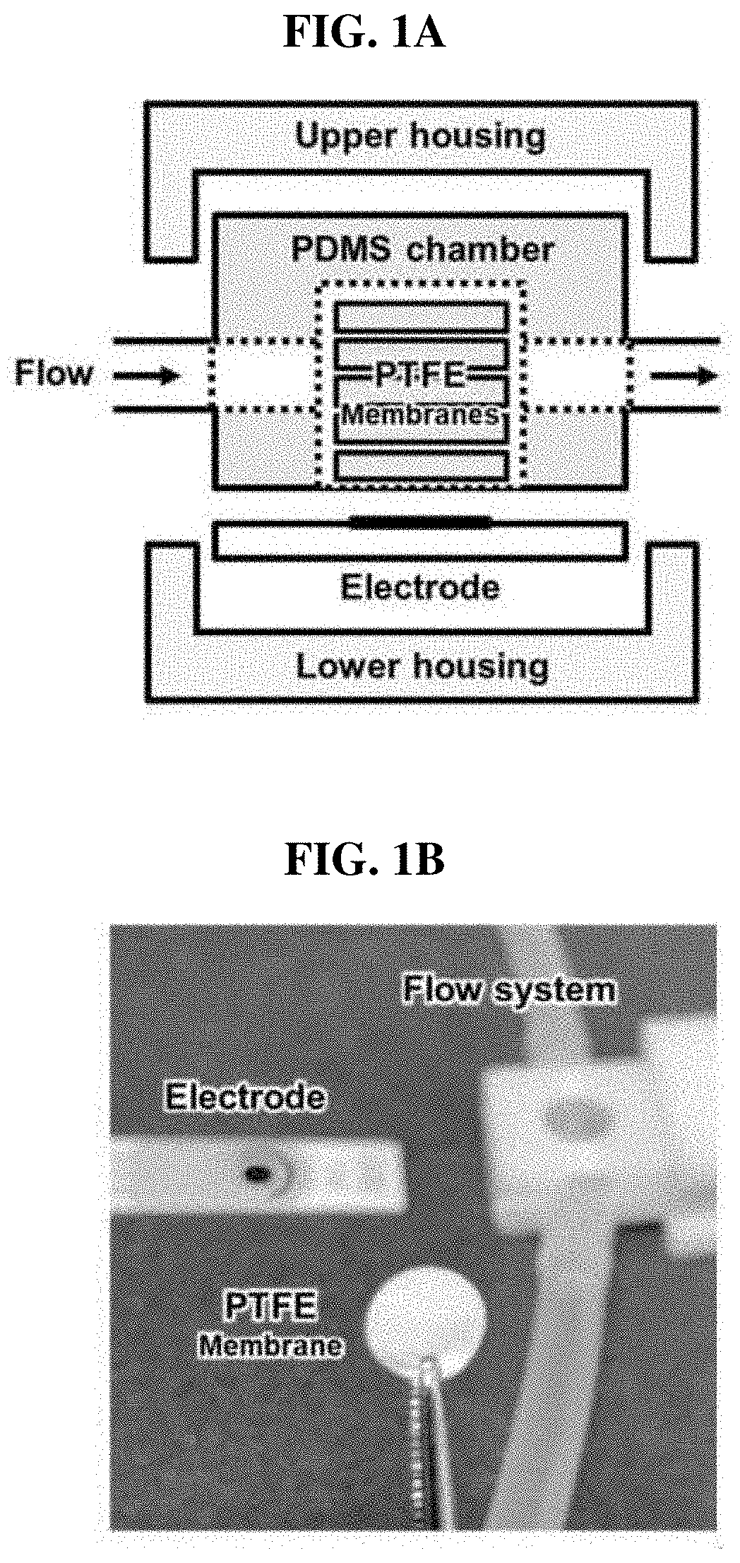 Parylene-a-coated insoluble porous membrane-based portable urea biosensor for use in flow conditions