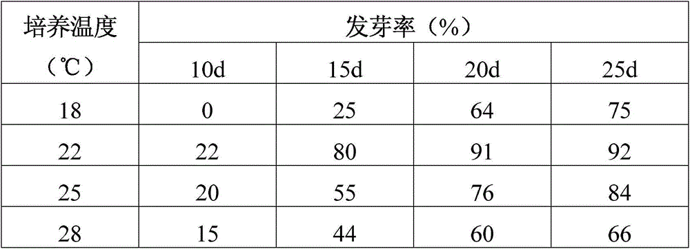 A kind of method for promoting the germination of heart leaf purple golden cattle seeds