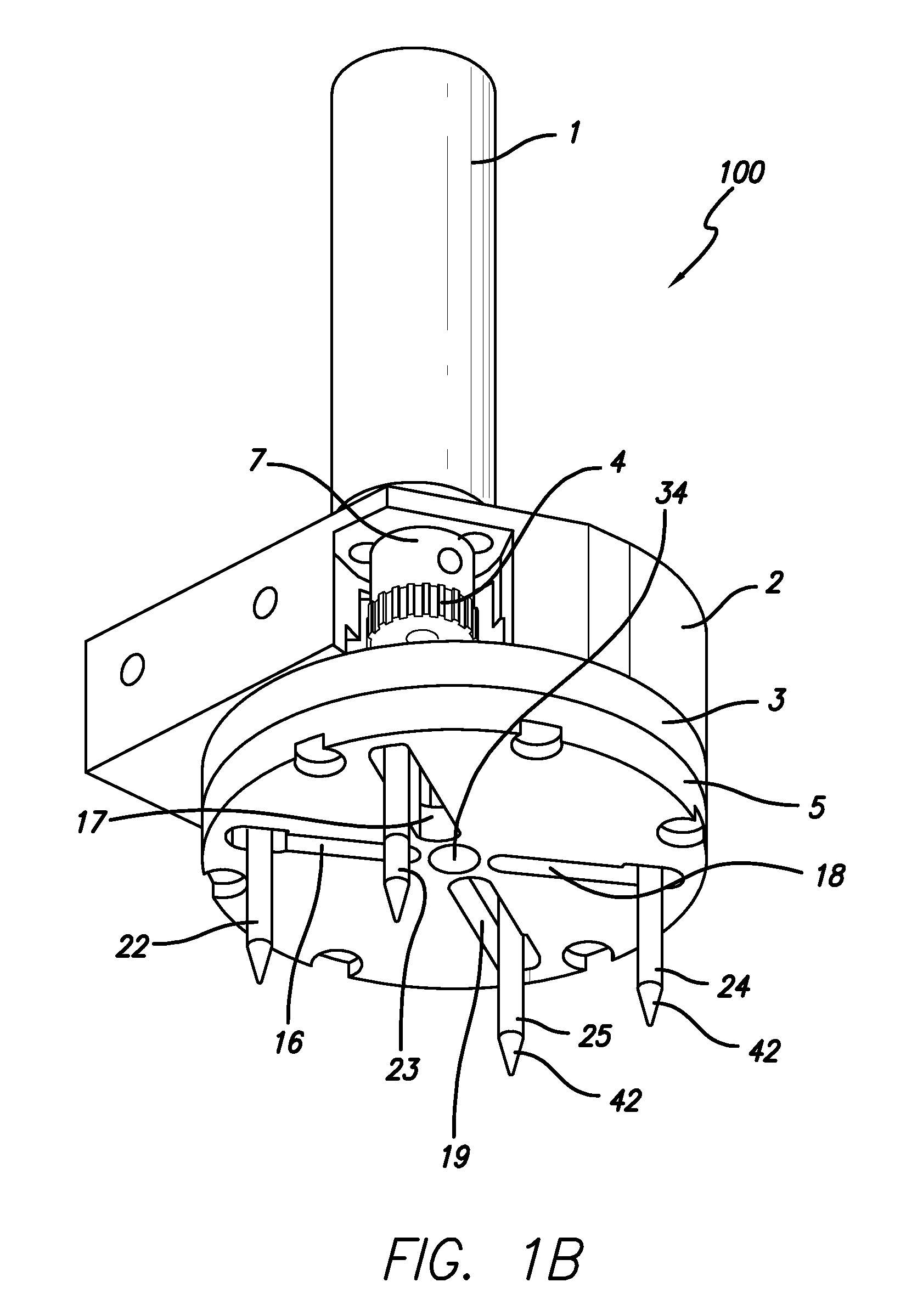 Gripper Apparatus and Method for Containers of Different Sizes