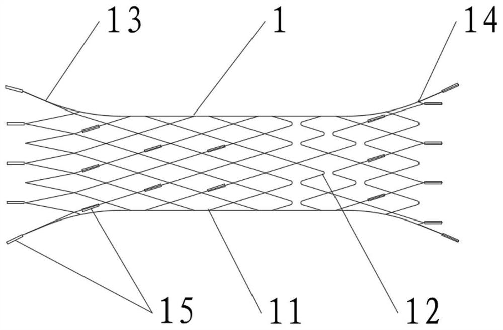 Intracranial aneurysm embolism auxiliary stent and conveying system