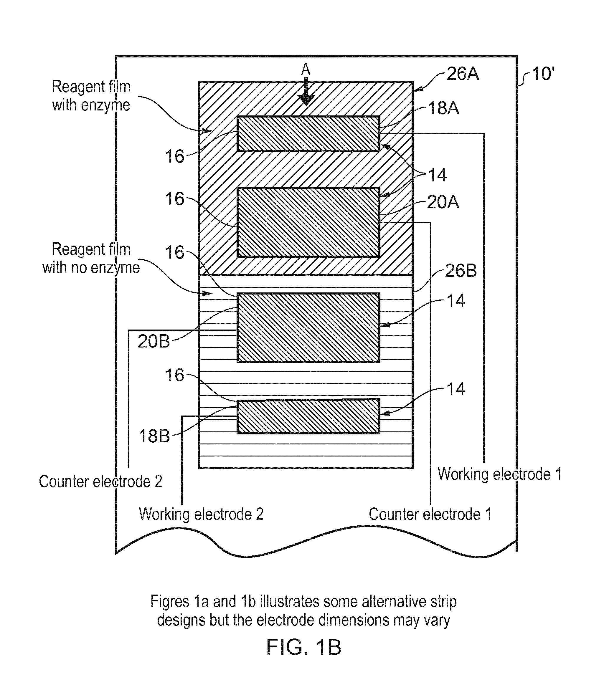 Methods and apparatus for determining analyte in a sample using a sensor having electrodes which are provided with an enzyme and a mediator