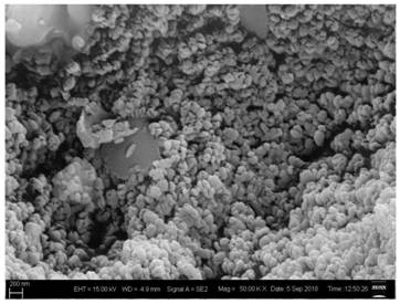 A kind of nickel foam supported zinc titanate/tourmaline photocatalytic material and preparation method thereof