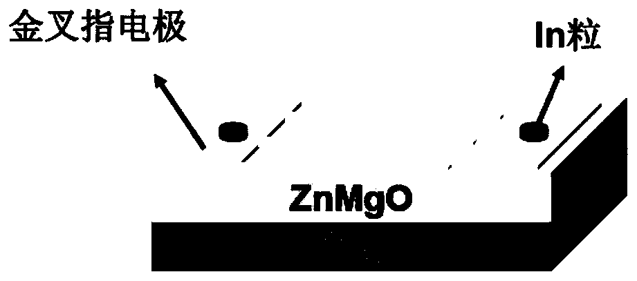 A znmgo UV detector