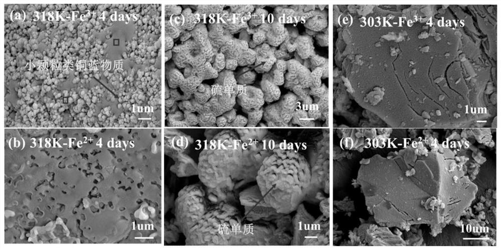 Method for strengthening copper blue bioleaching by comprehensively utilizing ferric ions and ferrous ions