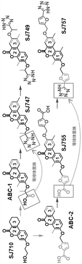 Small molecules binding cyclin-dependent kinase inhibitor 1b(p27kip1)
