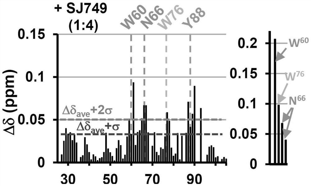 Small molecules binding cyclin-dependent kinase inhibitor 1b(p27kip1)