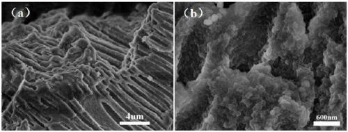 A kind of synthetic method of hierarchical pore nano titanium silicon molecular sieve/alumina composite material