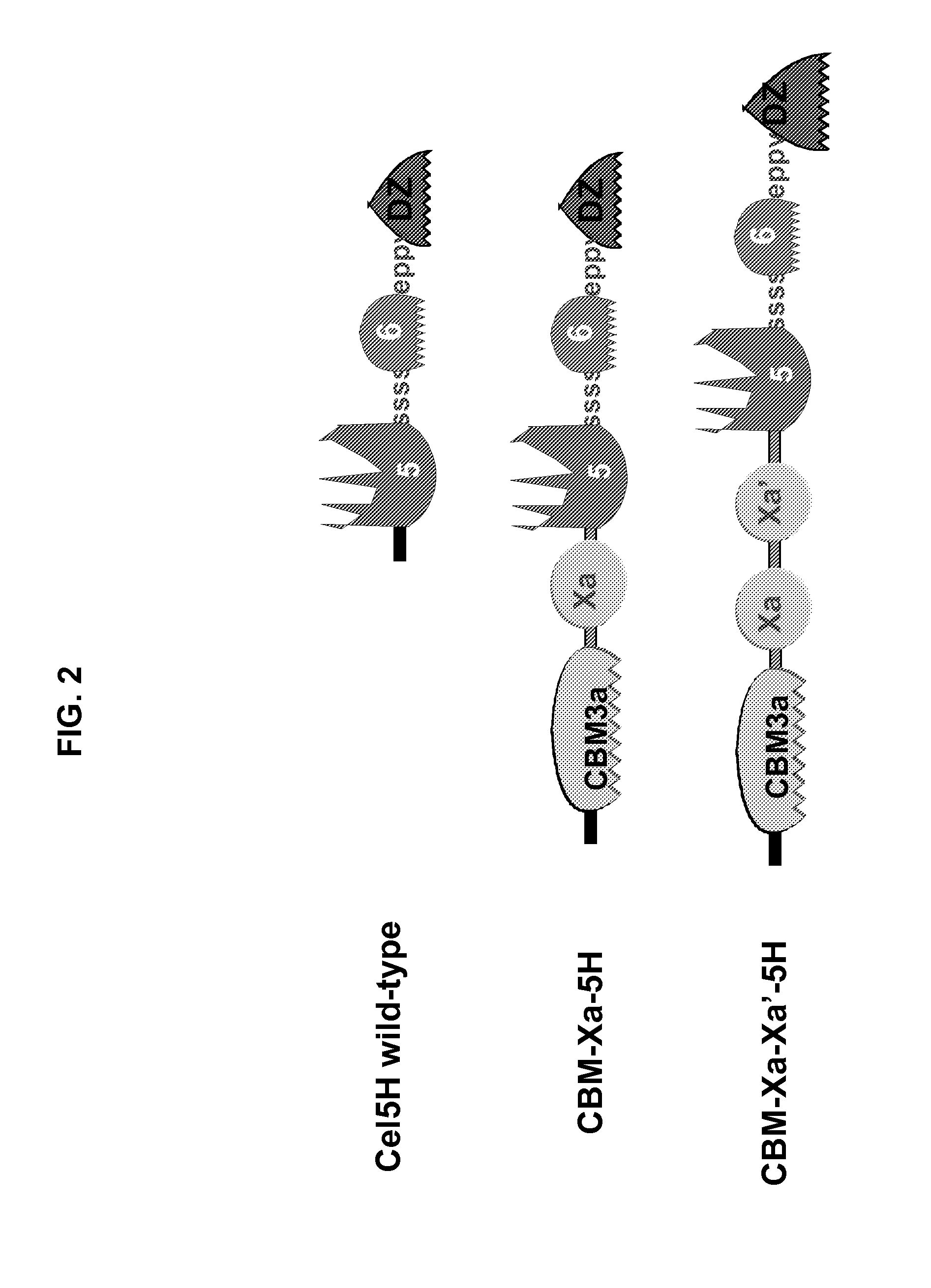Constructs and Methods for the Production and Secretion of Polypeptides