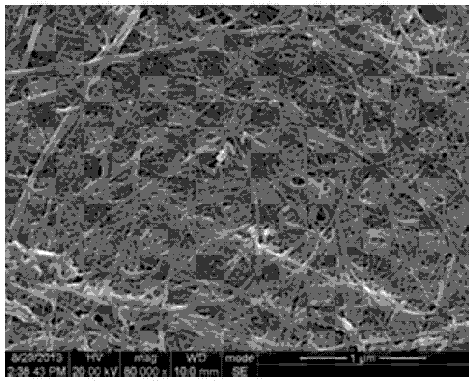 Hyperbranched Modification Method of Cellulose Nanofibers