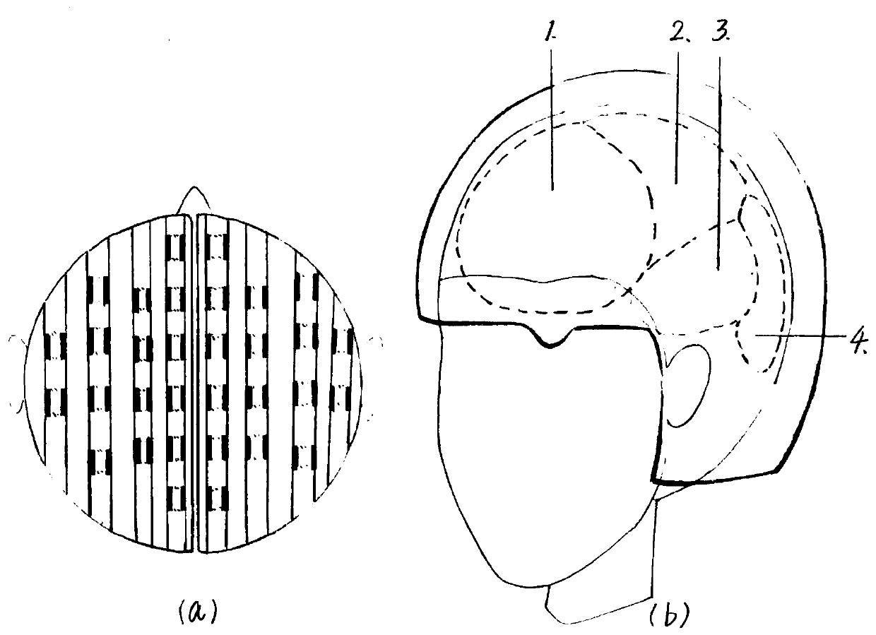 Slideway type wearable brain magnetic cap for measuring human brain magnetic field signals