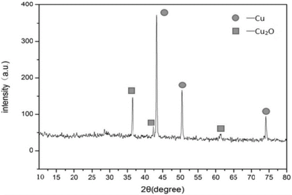 Method for preparing super-hydrophobic copper surface of plant leaf structure