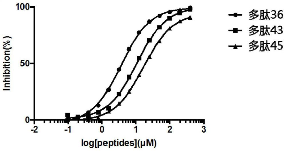 Polypeptide inhibitor for APC/Asef interaction and application thereof