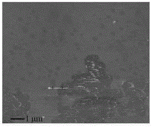 Graphene dispersant and applications thereof