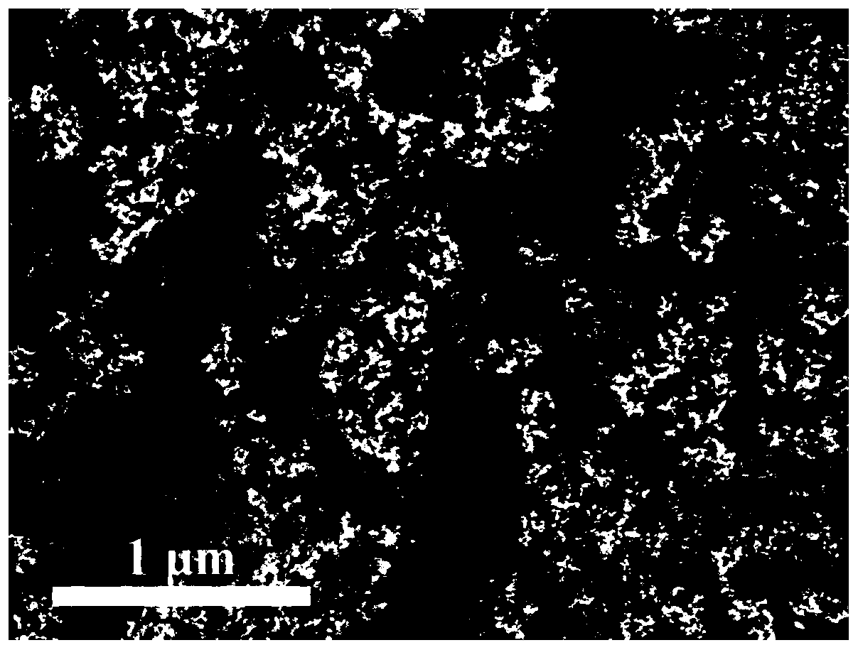 Preparation method and application of double non-noble metal catalyst with high specific surface area and high defects