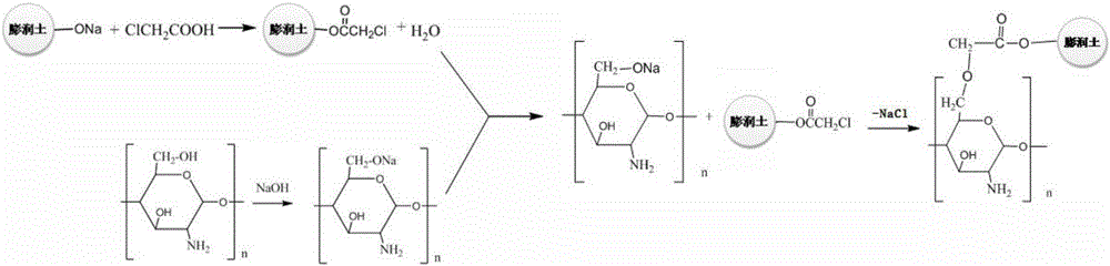 Chitosan-modified sodium bentonite, preparation method and application