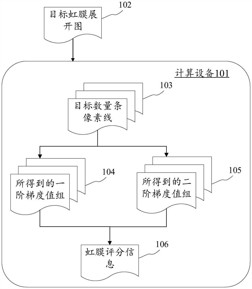 Iris image processing method and device, electronic equipment and computer readable medium