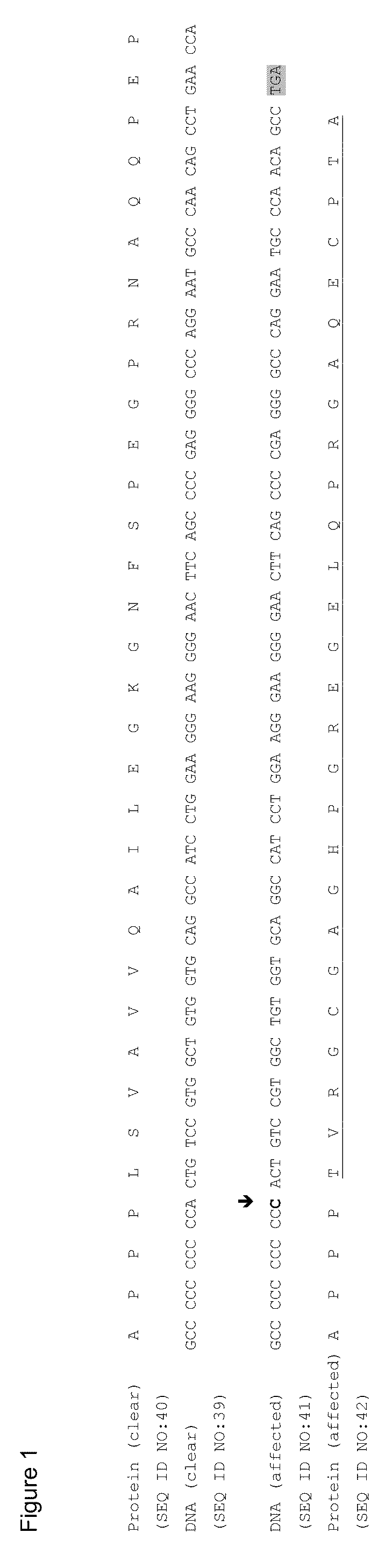 Hereditary cataract status in canines based on hsf4 gene marker