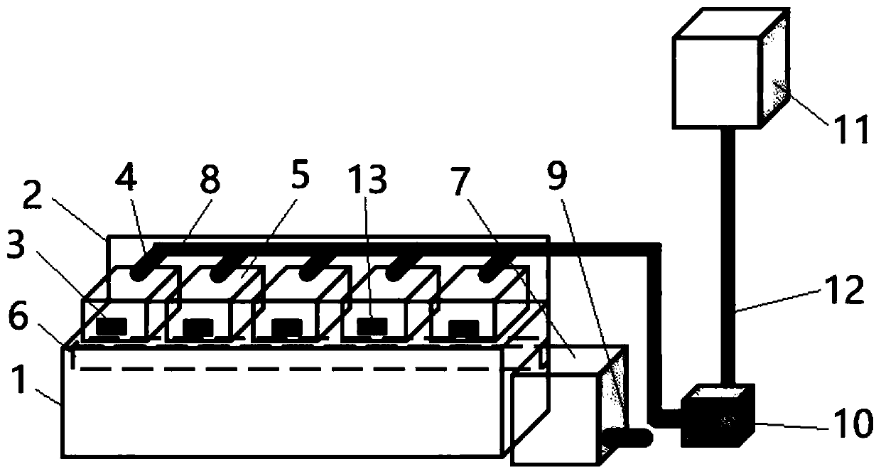 Firefly pupating equipment and pupating method