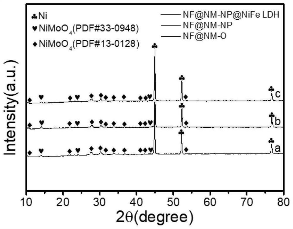 N and P co-doped NF@NiMoO4 hollow nanowire composite material and preparation method and application thereof