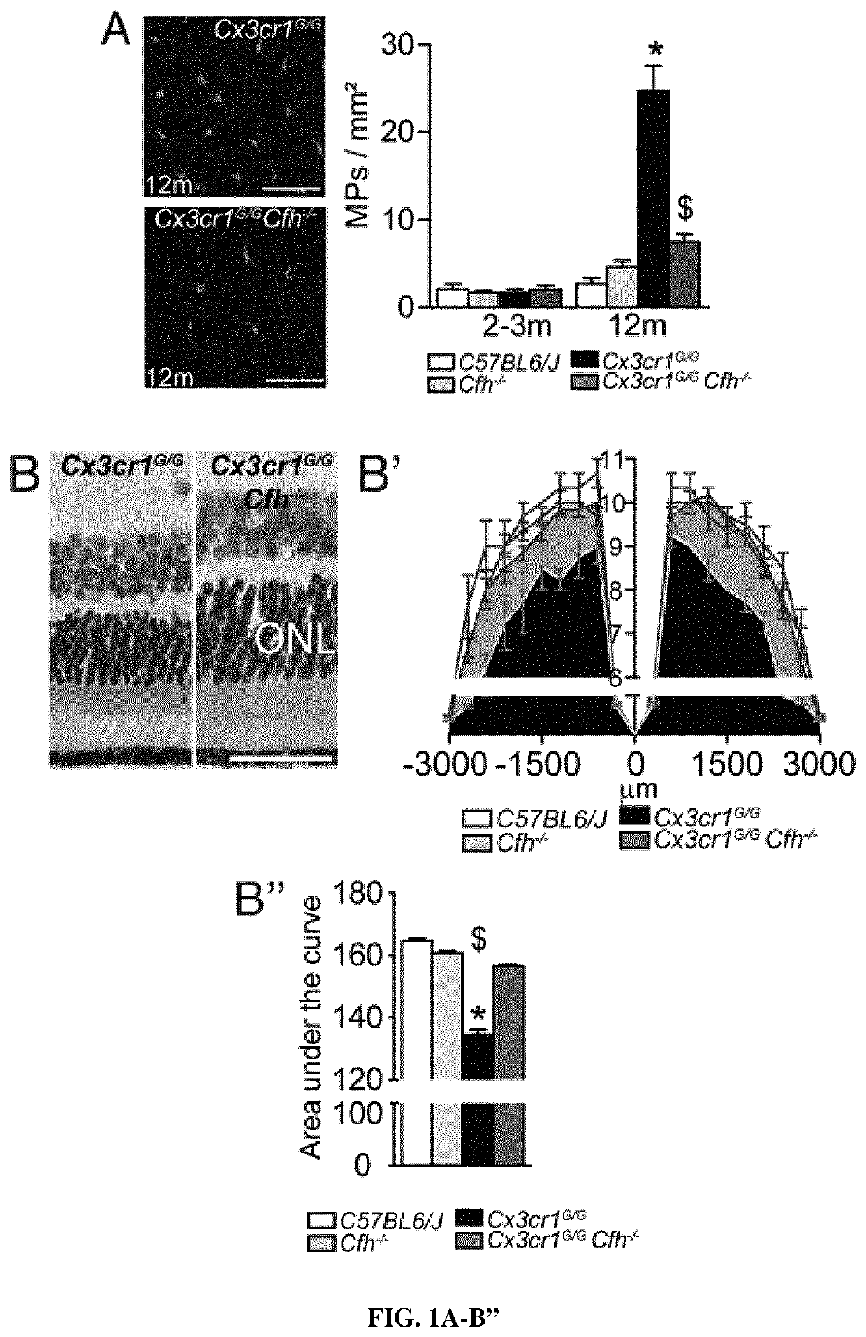 Agents that inhibit the binding of CFH to CD11 b/CD18 and uses thereof