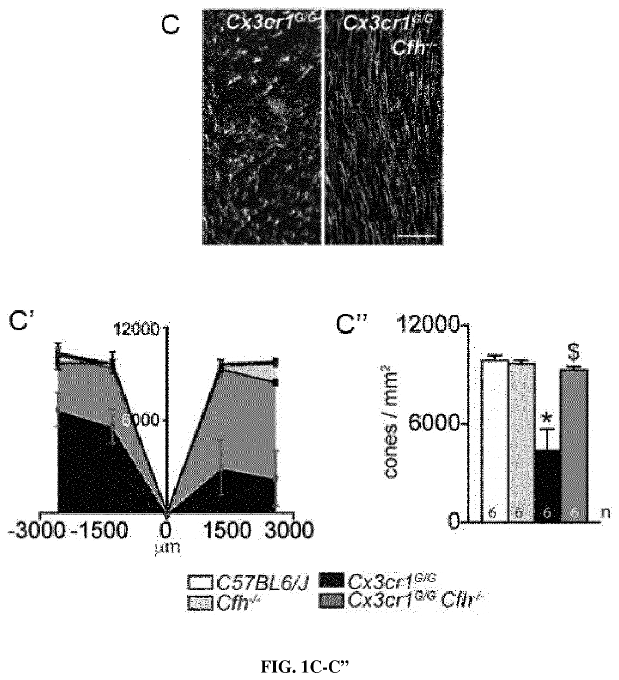 Agents that inhibit the binding of CFH to CD11 b/CD18 and uses thereof