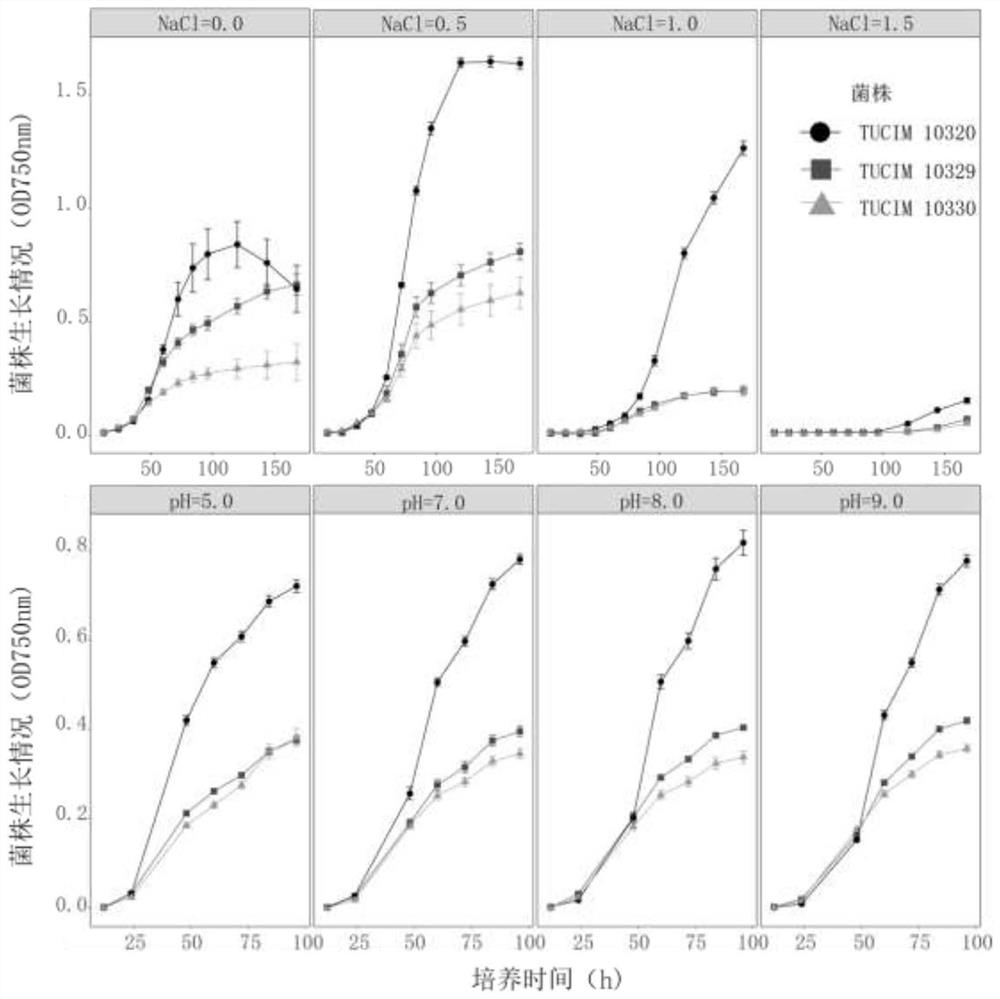 A saline-alkali tolerant Trichoderma aculeatus and its application