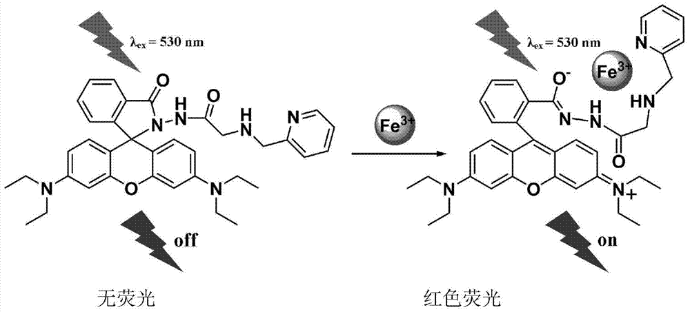 A switch type ferric ion fluorescent probe and preparation method thereof
