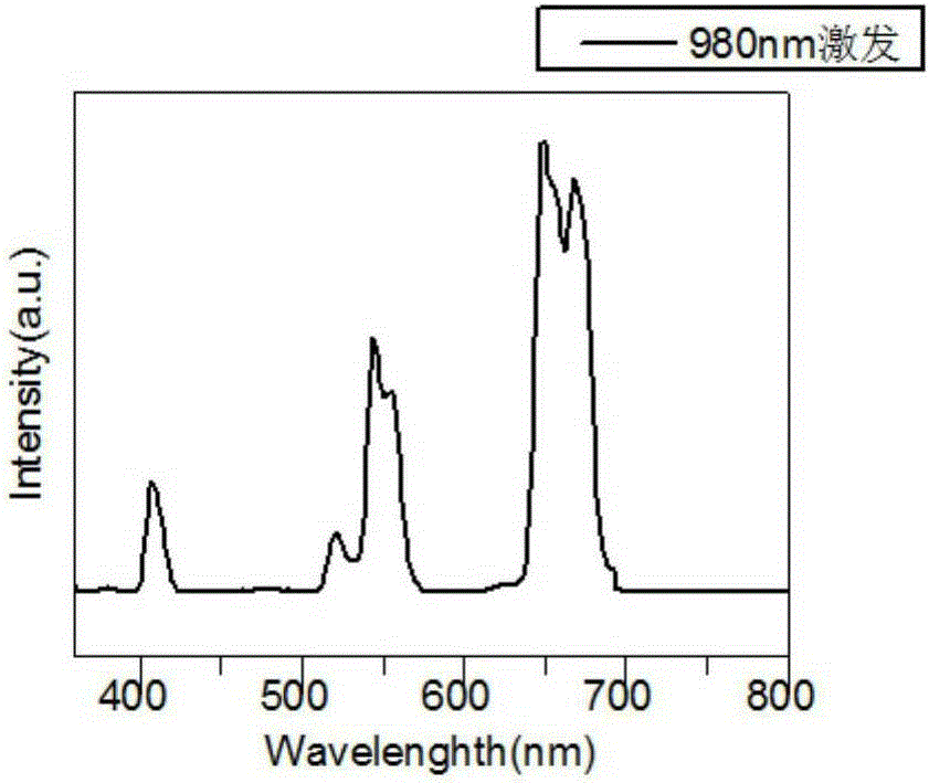 A preparation method of rare earth-doped yttrium potassium fluoride upconversion luminescent nanomaterial