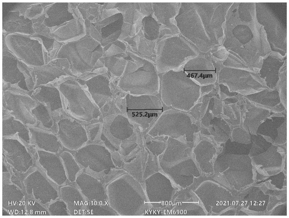 Preparation method and application of durable hydrophilic polypropylene foamed particles