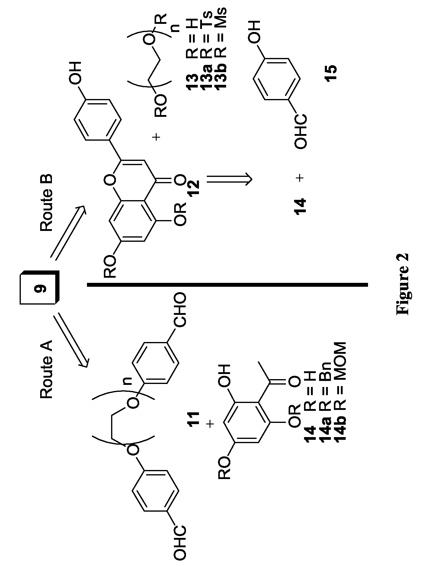 Flavonoid dimers and methods of making and using such