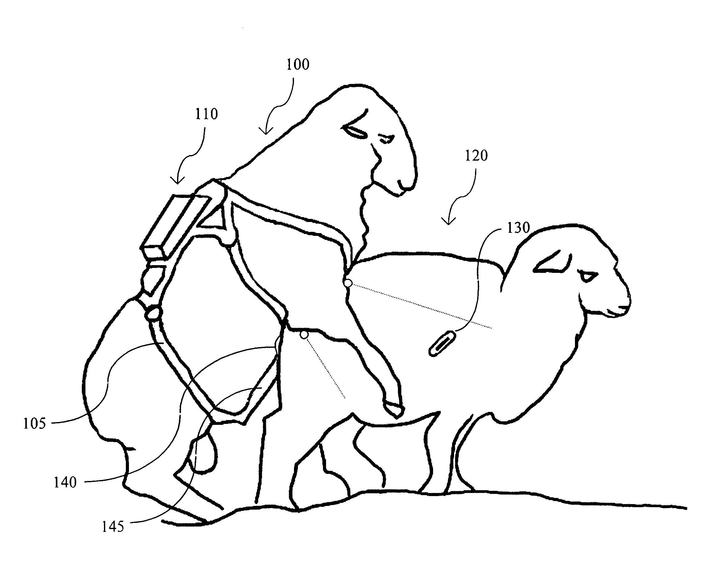 Method and Device for Automatically Detecting Mating of Animals