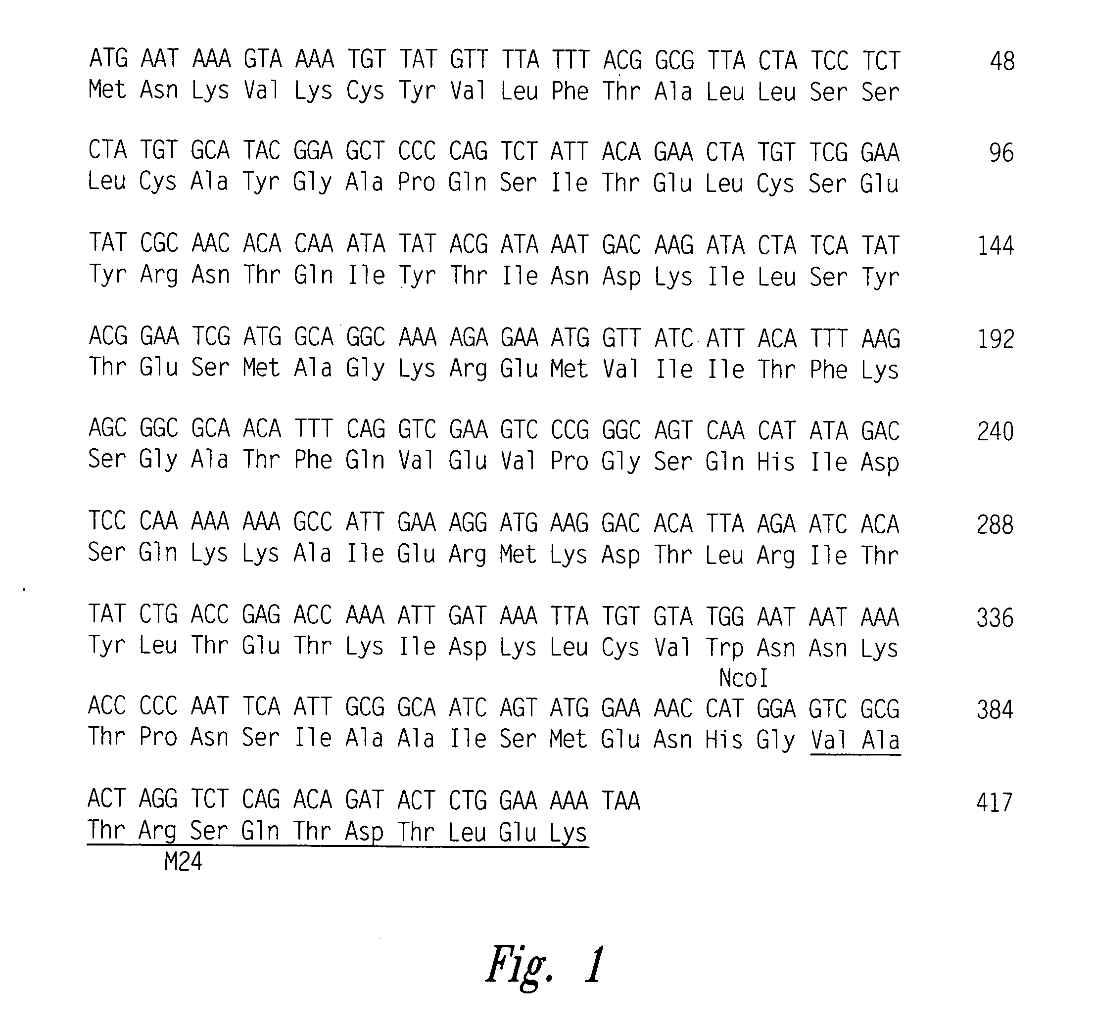 Antigen of hybrid M protein and carrier for group a streptococcal vaccine