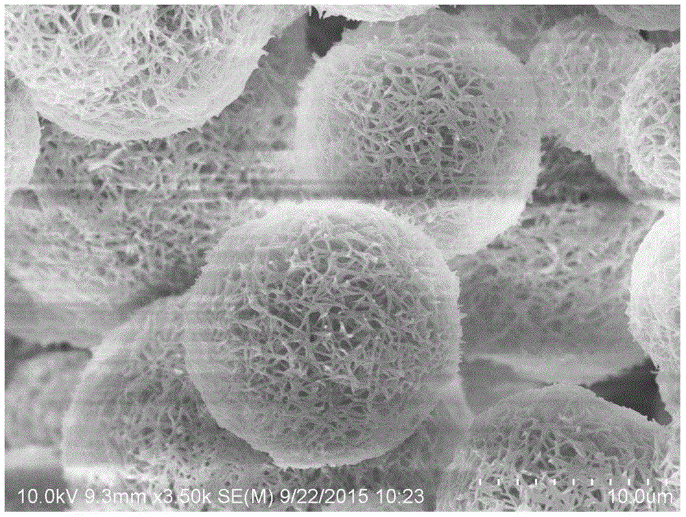 Polyamide porous microspheres and preparation method thereof