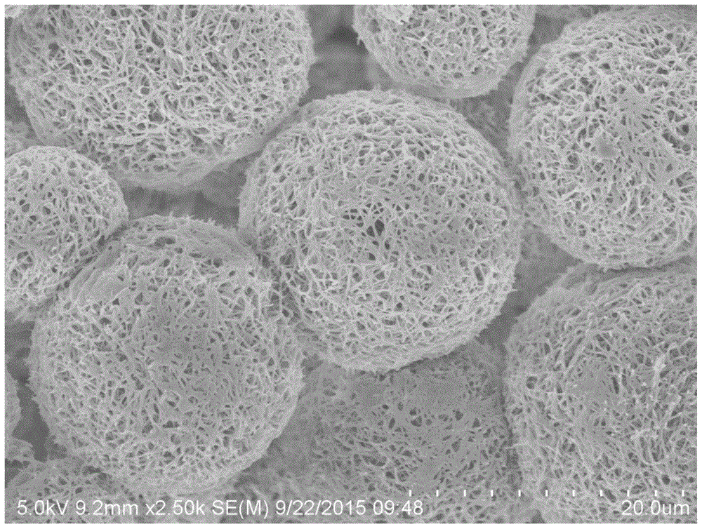 Polyamide porous microspheres and preparation method thereof