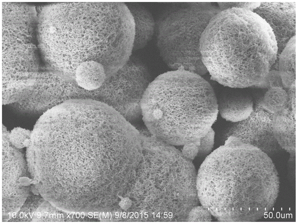 Polyamide porous microspheres and preparation method thereof