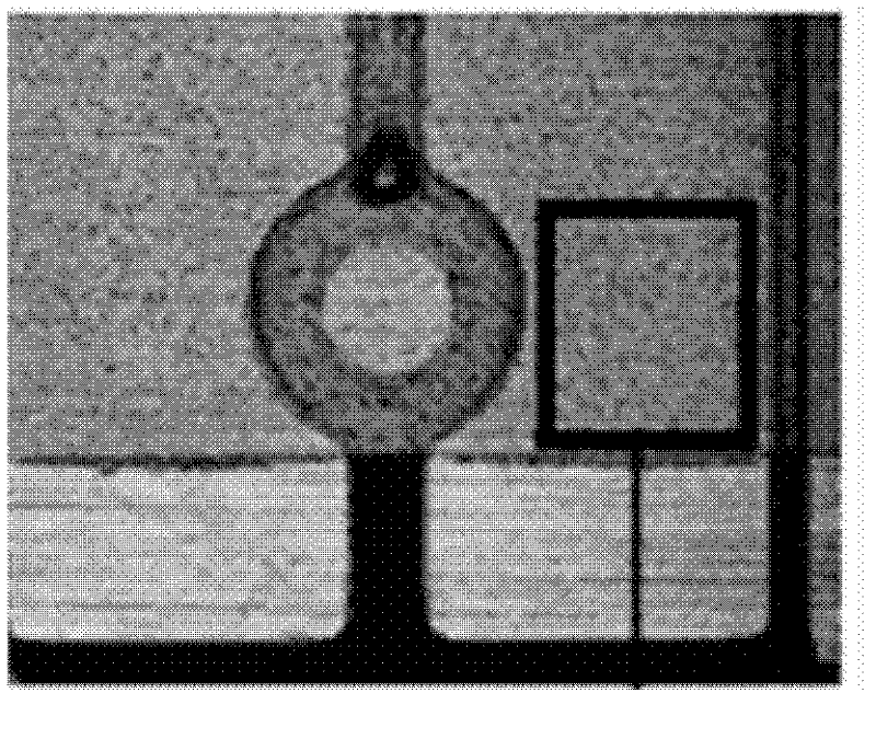 Anisotropic conductive film