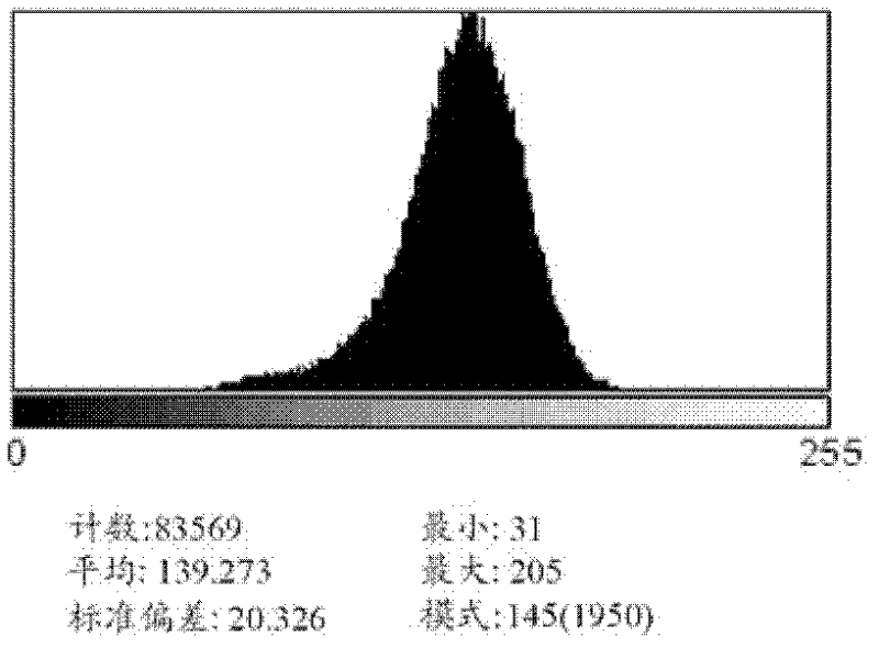 Anisotropic conductive film